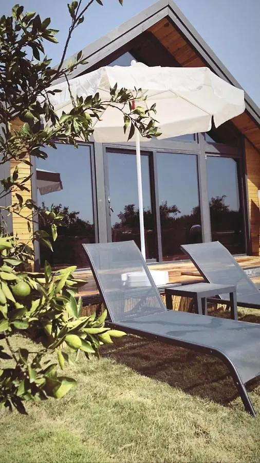 Karayel Suit Koycegiz Mugla Villa